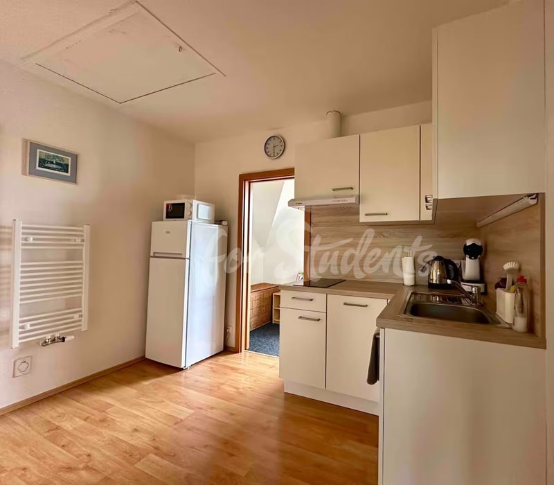 Spacious two bedroom apartment in a family house, Prague (file fb5e55b2-a1e2-414a-99a4-08a79a6d7c0f.jpg)