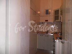 One bedroom apartment in Vinohrady, Prague - (5)