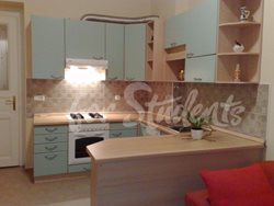 One bedroom apartment in the city center, Prague - (4)