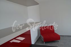 Newly reconstructed two bedrooms attic apartment on S. K. Neumanna street, Hradec Králové  - 03xDSC_1071