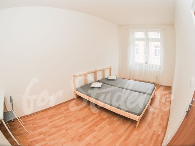 Double room, Brno-Spolkova street 