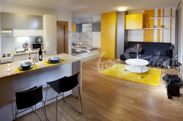 Fully equipped studio flat close to Brno, city centre - B24/23