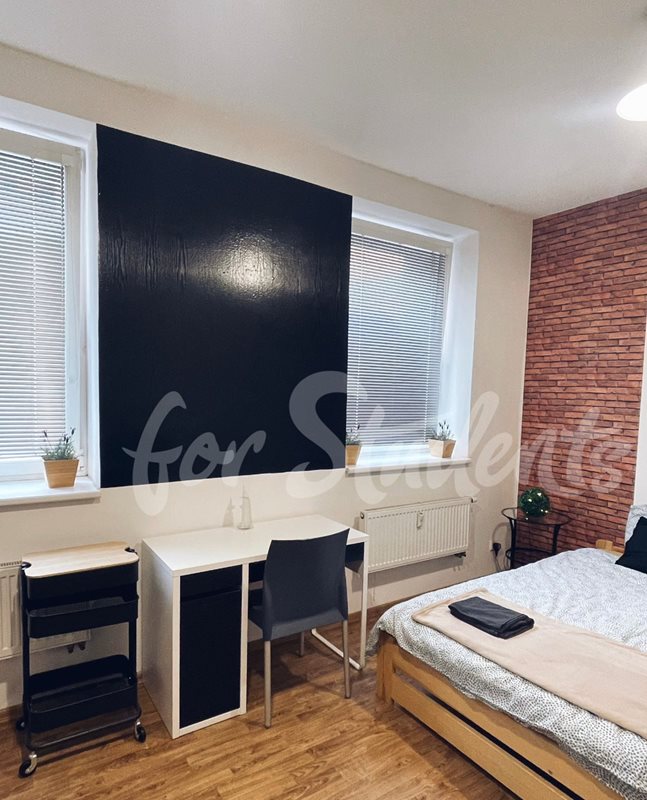 Studio apartment in the city center, Brno (file WhatsApp-Image-2024-06-13-at-18-27-16-(1).jpg)