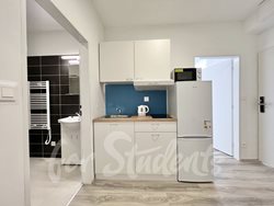 New 2 bedroom apartment, Mendlovo náměstí- Brno - IMG_2432