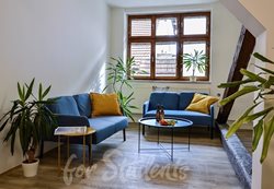 Lovely sunny loft-shared flat in the centre of Brno - ucGlu7