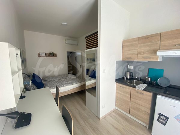 Studio apartment close to Brno city center. - B10/23