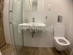 Newly reconstructed one bedroom apartment in New Town, Hradec Králové - IMG_1384