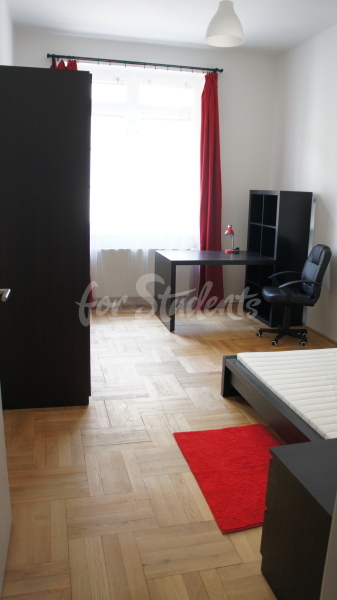 Modern three bedroom apartment in the Old Town, Hradec Králové (file DSC00314.jpg)