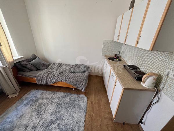Studio apartment in the city centre, Hradec Králové  - 17/25
