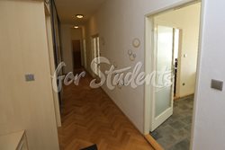 Newly reconstructed 2 bedroom apartment in Brno  - CHO_4N2B9761