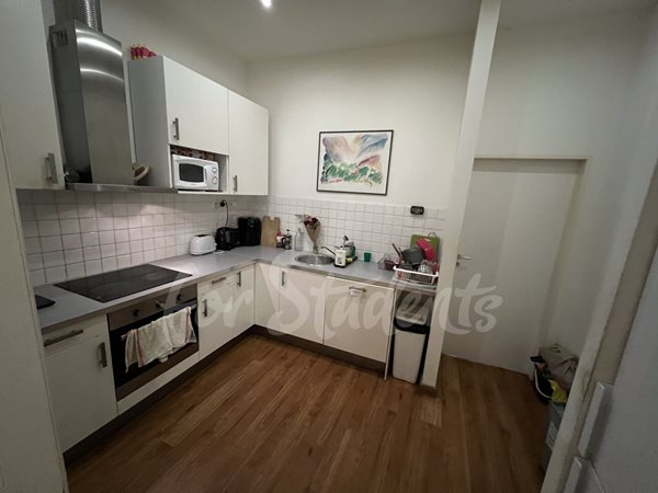 Three rooms in spacious four bedroom apartment in the city center available, Prague  - RP8/24