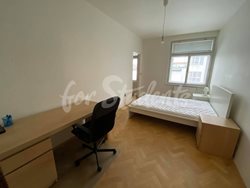 One room available in a female three bedroom apartment in Kotěrova street, Hradec Králové - 120611165_611655106167383_5293411502306756499_n