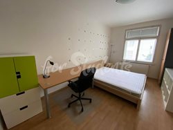 One room available in a female three bedroom apartment in Kotěrova street, Hradec Králové - 120477601_762285464330682_3596228039268525730_n