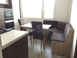 Modern two bedrooms apartment in Pod Zámečkem, Hradec Králové - image5