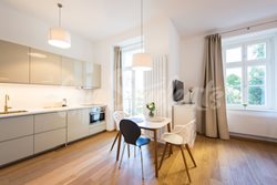 Modern and spacious studio apartment, Prague - 371A8859