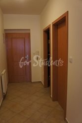 One bedroom apartment available in Old Town, Hradec Králové - DSC02428