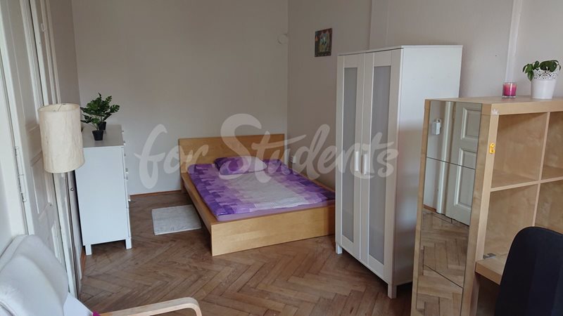 One spacious bedroom in four bedroom share apartment in Buzulucká street, Hradec Králové  (file bedroom1.jpg)