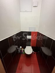 Two rooms available in three bedroom apartment in a villa, Hradec Králové - IMG_5386