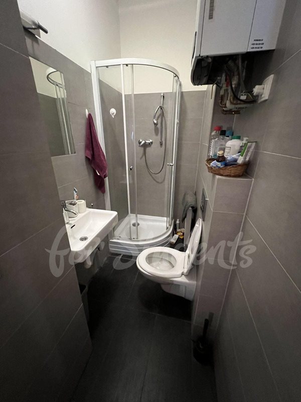 One room with a private bathroom in a spacious four bedroom apartment in the city center, Prague  (file IMG_8508.jpg)