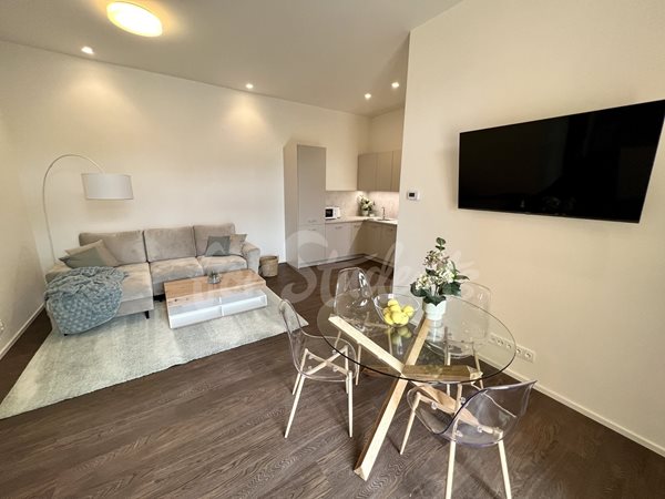 Fully furnished brand new one bedroom apartment in Tylovo nábřeží, Hradec Králové - 2/23