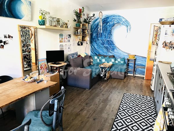 Cosy one bedroom apartment, Prague  - P23/25