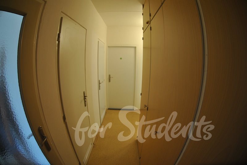 Place for girl in a shared double room close to Campus Brno (file DSC_0289.jpg)