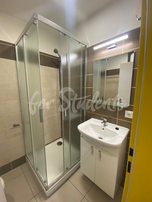 New studios close to the Brno-city center  (file WhatsApp-Image-2021-07-23-at-09-34-19-(2).jpg)