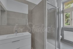 Fully furnished brand new one bedroom apartment in Tylovo nábřeží, Hradec Králové - DSC00110