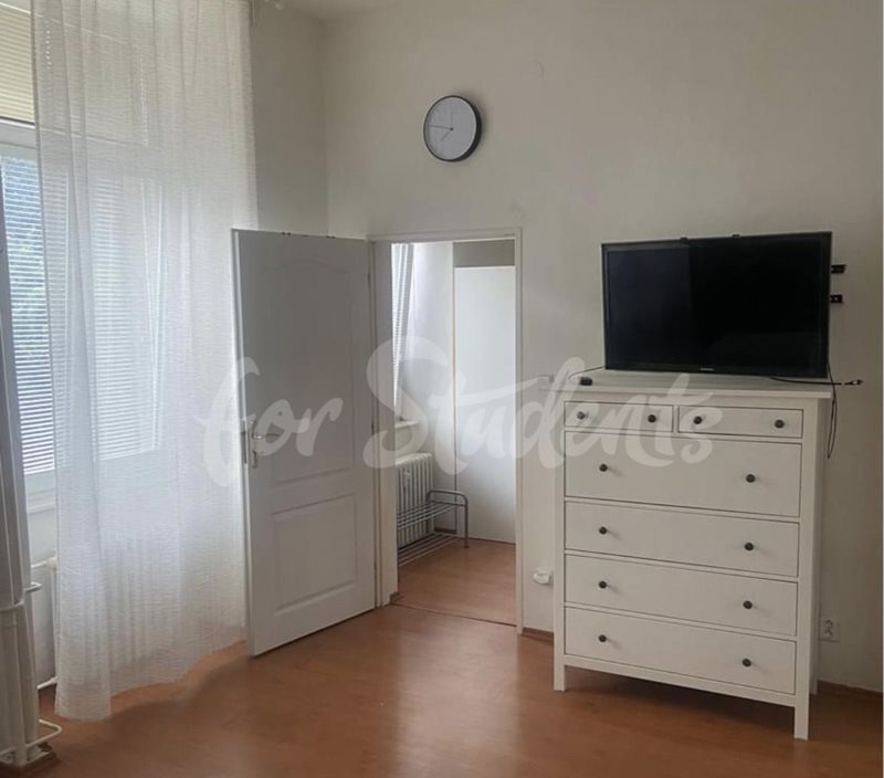 One bedroom apartment in Brno center (Veveří district) (file IMG_8109.jpg)