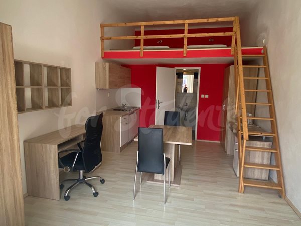 Spacious and modern studio apartment close to the city center, Brno - B19/22