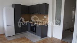 One bedroom available in female 3bedroom apartment in a student's house in the center of town, Hradec Králové - DSC02507