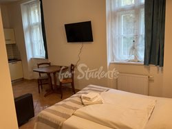 Studio apartment near the city center, Prague - IMG_7921