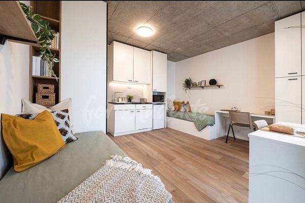 New and well presented studio for two, close to the city centre- Brno - B36/23