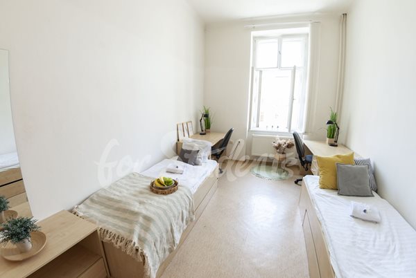 One bedroom available in a four bedroom apartment, Brno - RB14/25