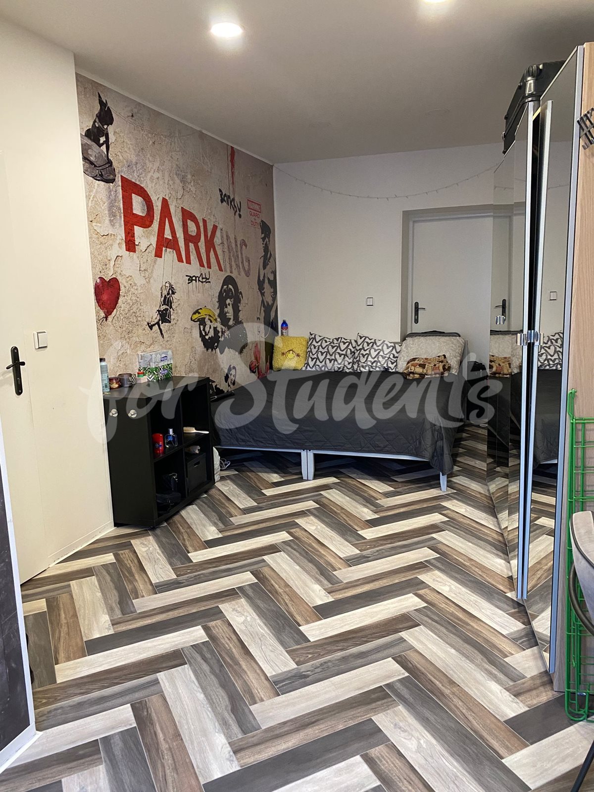 in Prague for erasmus students and expats. Various types