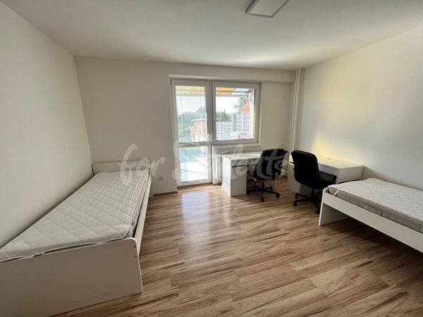 One room available in a modern vila with garden in Malšovice, Hradec Králové - R29/23