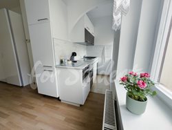 Modern studio apartment close to the Faculty of Medicine, Prague - PHOTO-2025-10-03-16-48-14-2