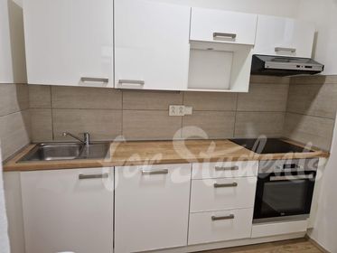 Light and furnished 1+1 apartment, close to the city centre, Brno (file 346042744_6292419894113451_6348450698768681589_n-2.jpg)