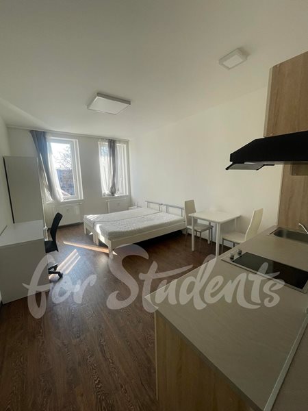 Sunny furnished studio, close to city centre, Brno - B27/23