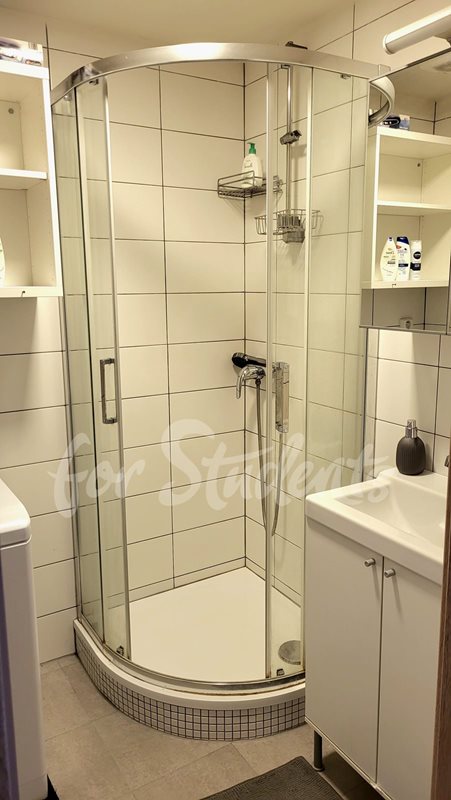 One room available in a three bedroom apartment, Hradec Králové (file koupelna.jpg)