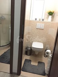 Modern two bedrooms apartment in Pod Zámečkem, Hradec Králové - image7