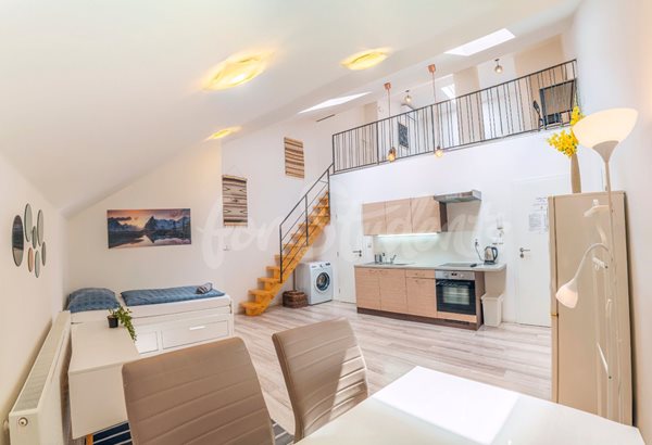 Two bedroom maisonette in the Brno city center (Veveří district) - B06/22