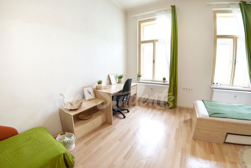 One bedroom available in a three bedroom apartment in the city center, Brno (file DSC_0557.jpg)