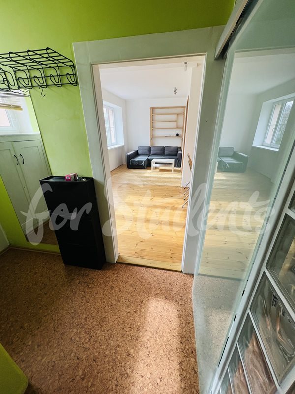 Spacious one bedroom apartment near the city center, Hradec Králové (file 7952.jpg)