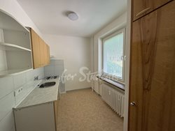 Spacious three bedroom apartment, Brno - IMG_4158