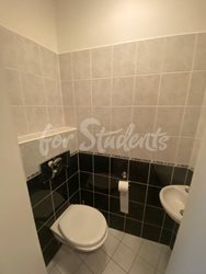 Spacious two bedroom apartment in New Town, Hradec Králové - WhatsApp-Image-2021-07-29-at-11-58-10-(5)
