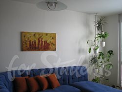 One bedroom apartment with living room and separate kitchen near the hospital, Hradec Králové - pronajem01