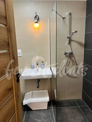 Modern studio apartment near Masaryk University, Brno  - PHOTO-2025-08-21-13-21-10