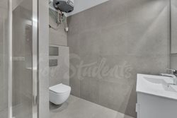 Fully furnished brand new studio apartment in Tylovo nábřeží, Hradec Králové - DSC09969