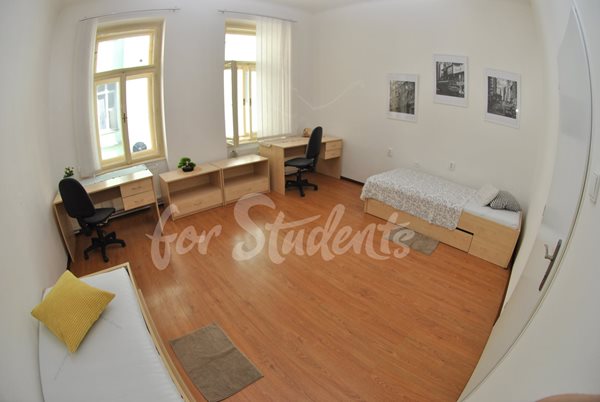 One bedroom available in a two bedroom apartment, Brno - RB11/25